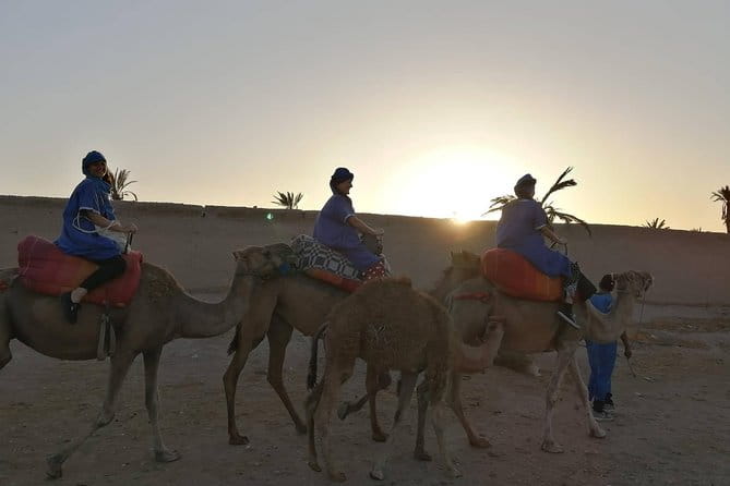 Camel Ride at the Palm Groves in Marrakech - Booking Confirmation