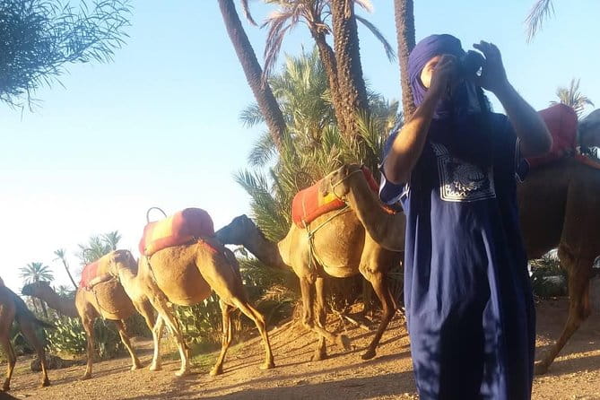Camel Ride at the Palm Groves in Marrakech - Recommendations and Restrictions