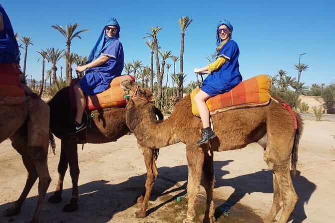 Camel Ride at the Palm Groves in Marrakech - Tour Group Size