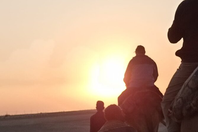 Camel Riding Tour in Luxor West Bank - Tour Overview