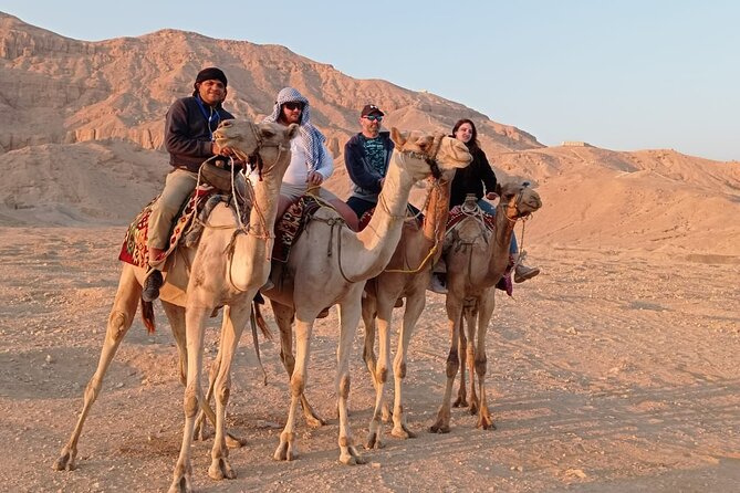 Camel Riding Tour in Luxor West Bank - Private Tour Advantages