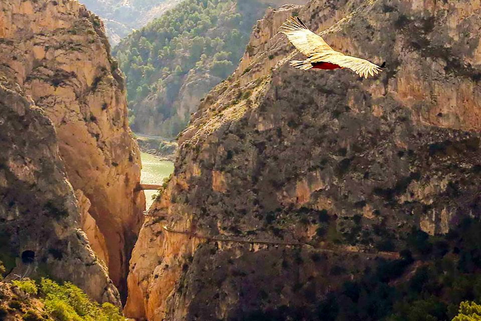 Caminito Del Rey: Entry Ticket - Overview of the Experience