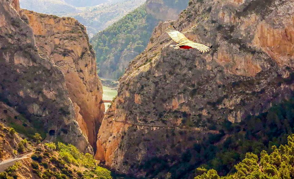 Caminito Del Rey: Guided Tour and Entry Ticket - What to Bring