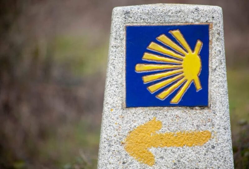Camino de Santiago: Bicycle Rental - Who Would Love This Experience?