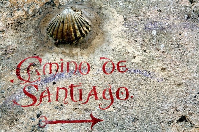 Camino De Santiago: Last 100 km walk from Sarria to Santiago de Compostela - Who Will Love This Experience?