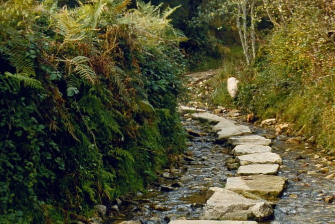 Camino De Santiago: Last 100 km walk from Sarria to Santiago de Compostela - Deep Dive into the Journey: Embracing the Camino Spirit