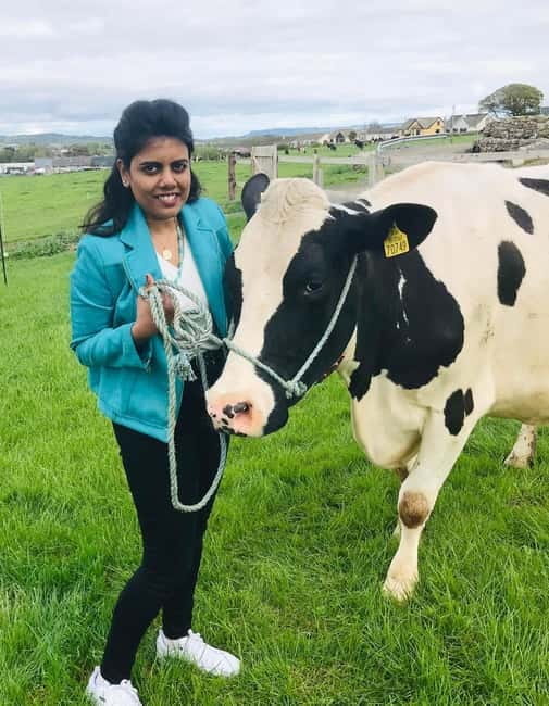 Campview Farm, Ballyshannon: Cuddle a Cow Experience - Key points / Takeaways