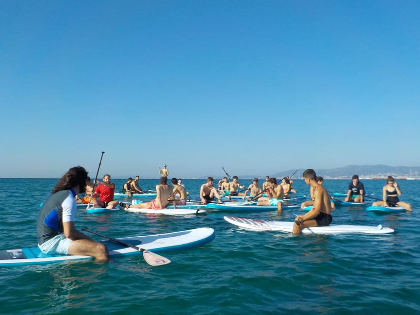 Can Pastilla : Stand-Up-Paddle Rental - Things To Know