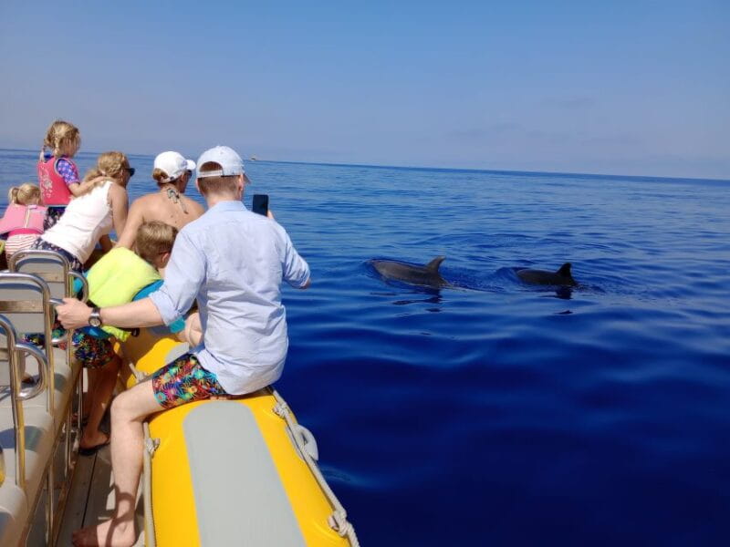 Can Picafort: Dolphin Watching Boat Tour with Swimming - Key points / Takeaways