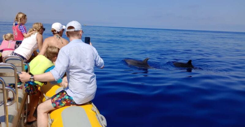 Can Picafort: Dolphin Watching Boat Tour with Swimming - Price and value: is it worth it?