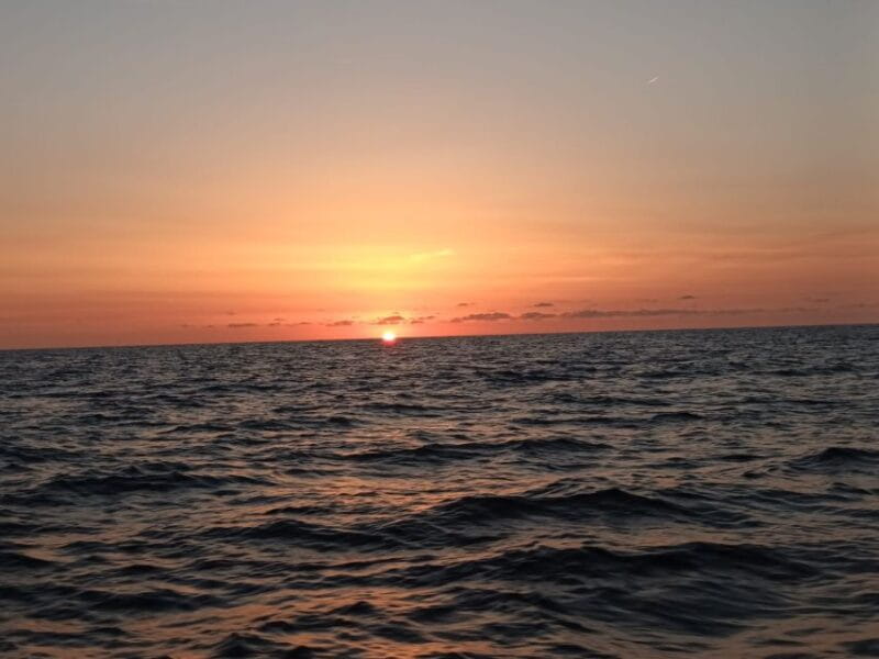 Can Picafort: Dolphin Watching Boat Tour with Swimming - Who should consider this tour?