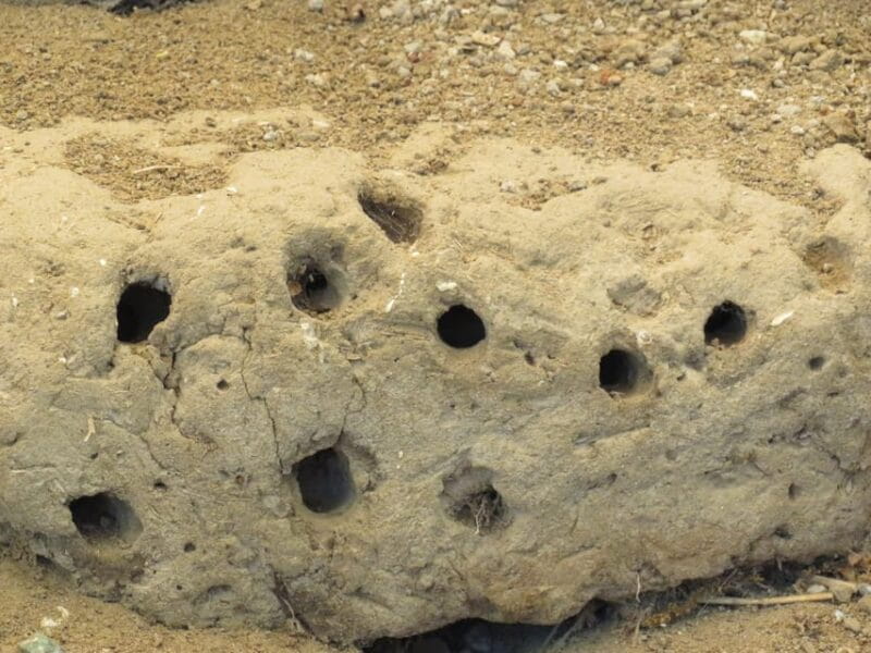 Canakkale: Full-Day Ancient Troy and Museum of Troy Tour - Why This Tour Works Well