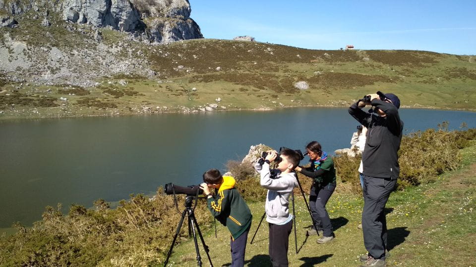 Cangas De Onís: Lakes of Covadonga Guided Tour - Inclusion Details
