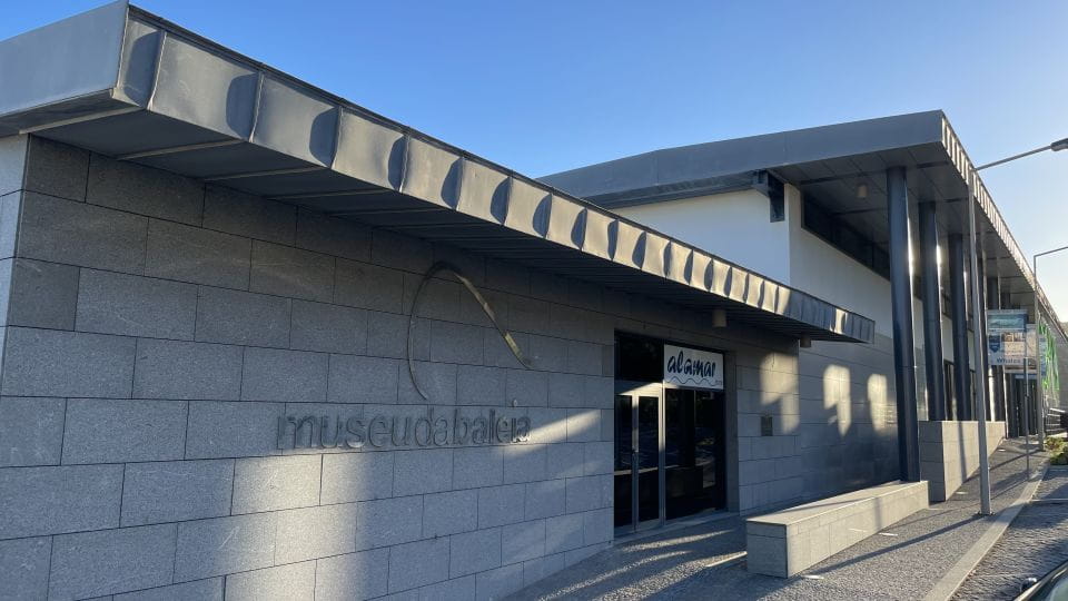 Canical: Madeira Whale Museum Entry Ticket and Private Tour - Highlights of the Experience