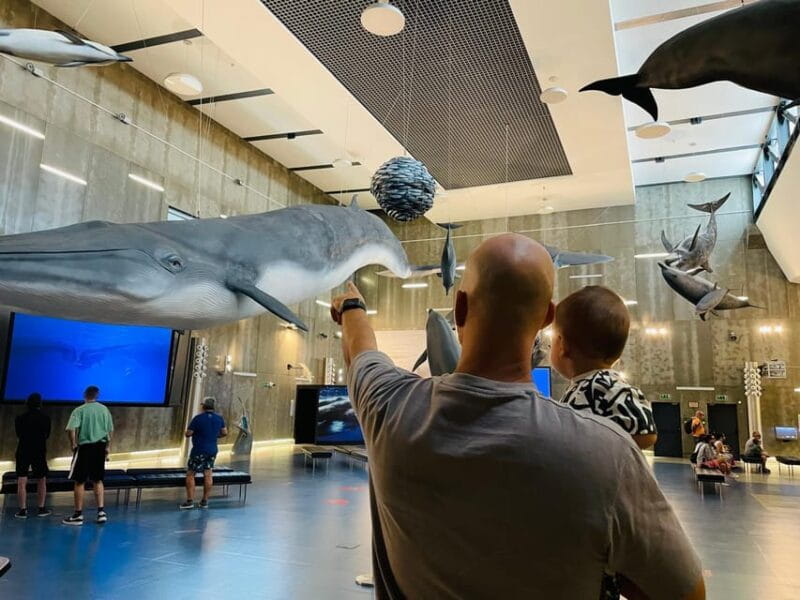 Caniçal : Madeira Whale Museum Entry ticket - The Bottom Line: Who Will Find Value Here?