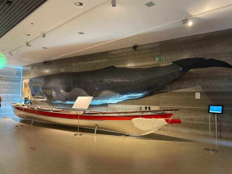 Caniçal : Madeira Whale Museum Entry ticket - FAQ about the Madeira Whale Museum