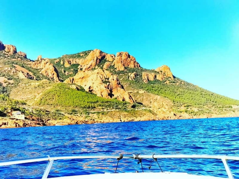 Cannes : Private boat tour - The Sum Up