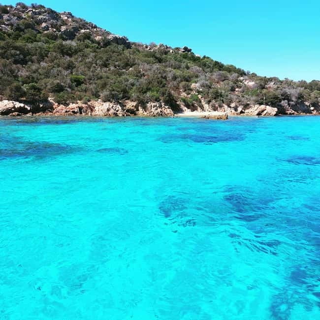Cannigione: boat tour Maddalena Archipelago with lunch - Who Will Love This Tour?