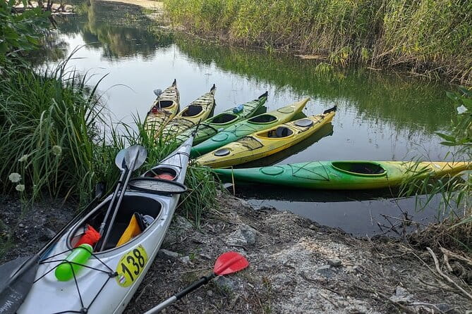 Canoe trip on Danube river with BBQ - Final Thoughts: Is It Worth It?