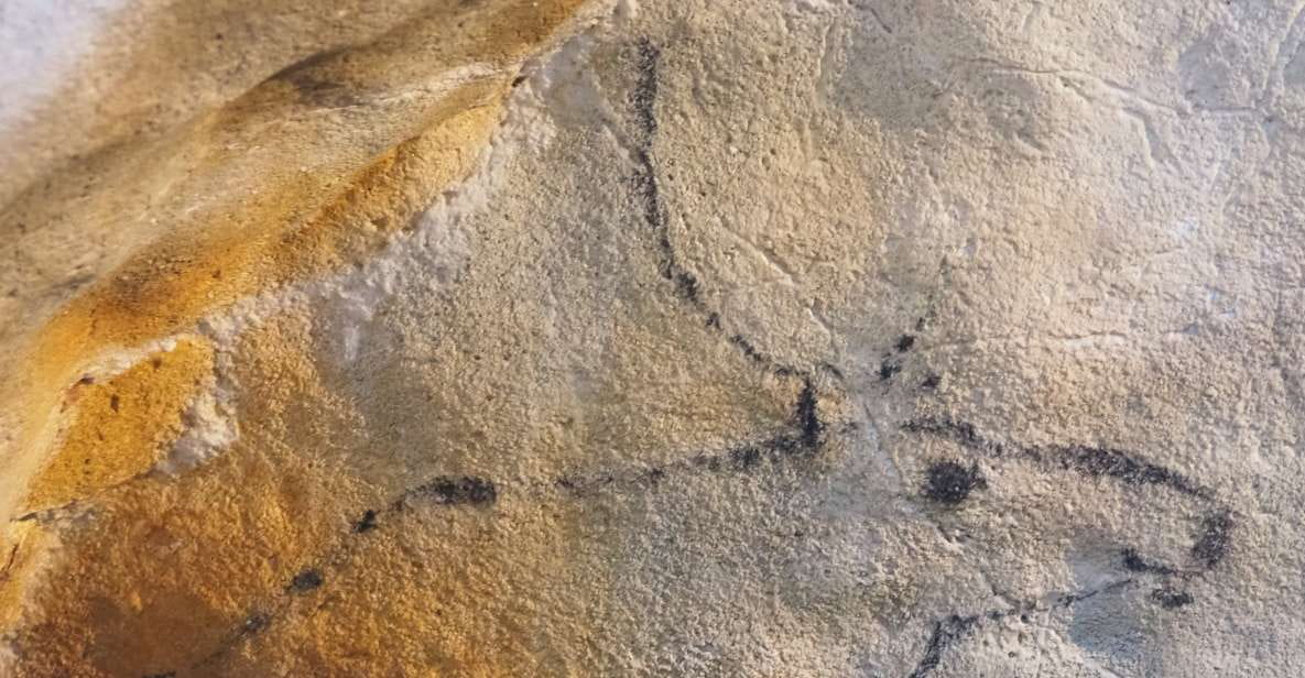 Cantabria: The Castillo Caves & Paleolithic Art - Inclusions and Exclusions