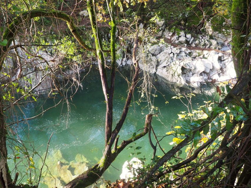 Cantabria: The Castillo Caves & Paleolithic Art - Things To Know