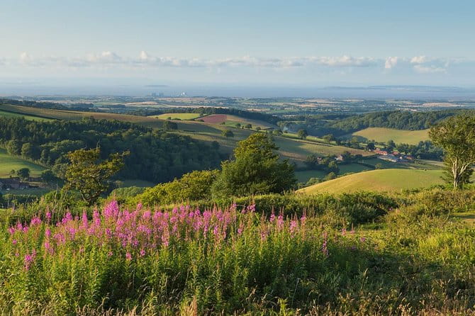 Canterbury & the White Cliffs of Dover Tour (Small-Group) - Customize Your Experience