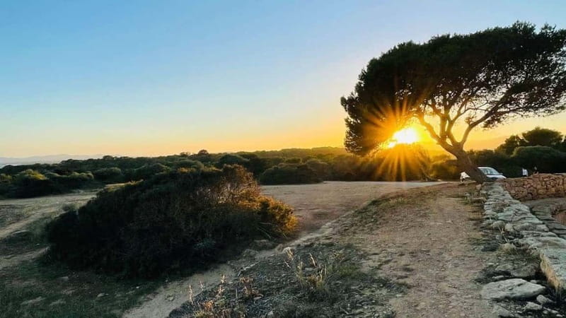 Canyamel: TimeForTwo, fun game,quiz and walk in nature - Discovering Canyamel: A Fun, Interactive Walk