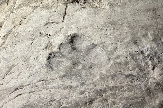 CANYON & CAVE Tour From Kutaisi - Sataplia, Prometheus & Martvili - Additional Information