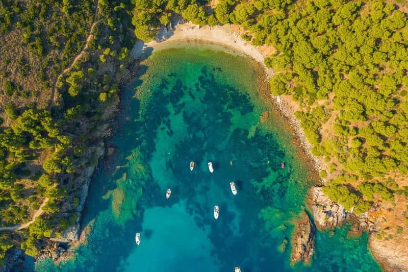 Cap De Creus: Explore and live an Aquatic World - Who Should Consider This Tour?