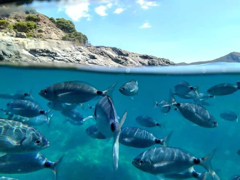 Cap De Creus: Explore and live an Aquatic World - Final Thoughts
