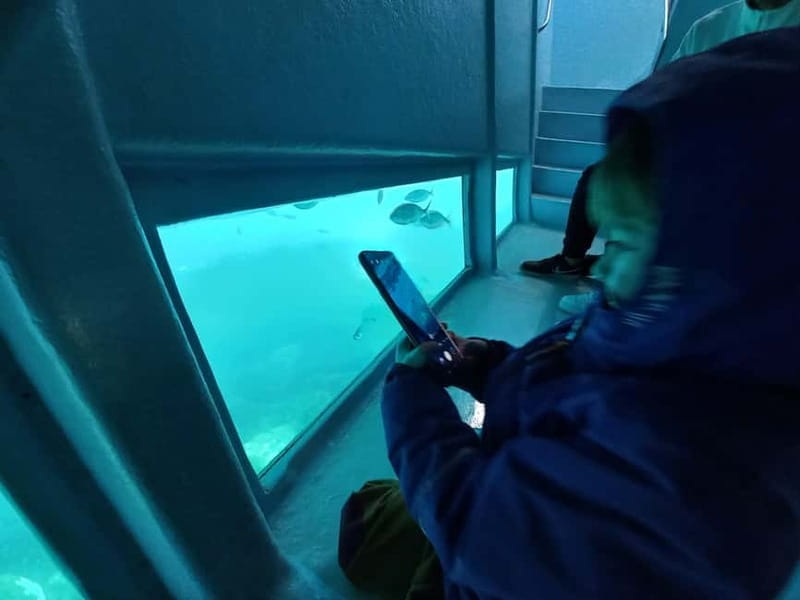 Cap De Creus: Explore and live an Aquatic World - FAQ