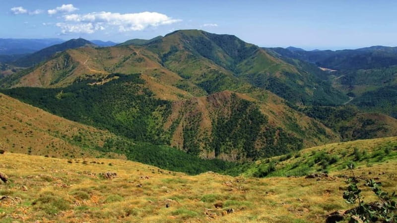 Capanne di Marcarolo Park: hiking on Mount Tobbio - An Authentic Hike on Mount Tobbio in Capanne di Marcarolo Park
