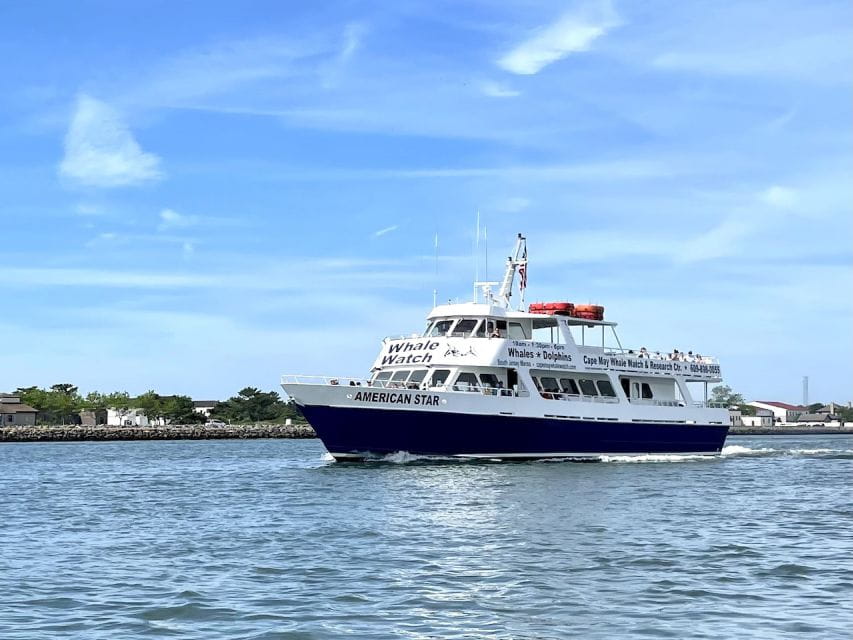 Cape May: Dolphin and Bird Watching Cruise - Additional Information