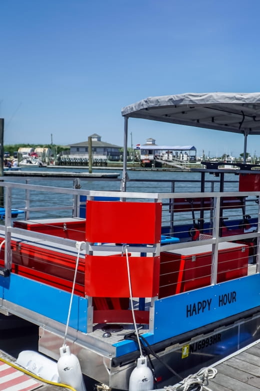 Cape May Harbor: Boat Cruises and Sunset Tours - Tour Options