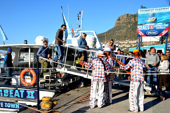 Cape Peninsula Private Tour - Panoramic Viewpoints