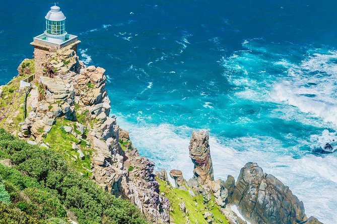 Cape Point and Boulders Penguins Full Day Tour - Cape Point Nature Reserve