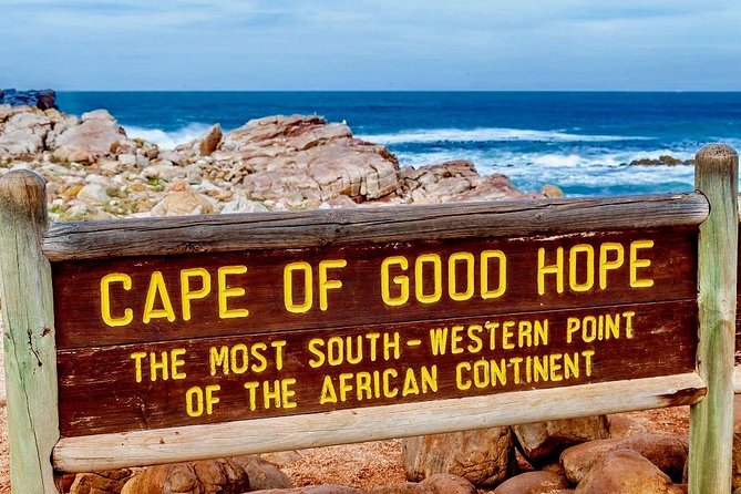 Cape Point and Boulders Penguins Full Day Tour - Transportation and Logistics