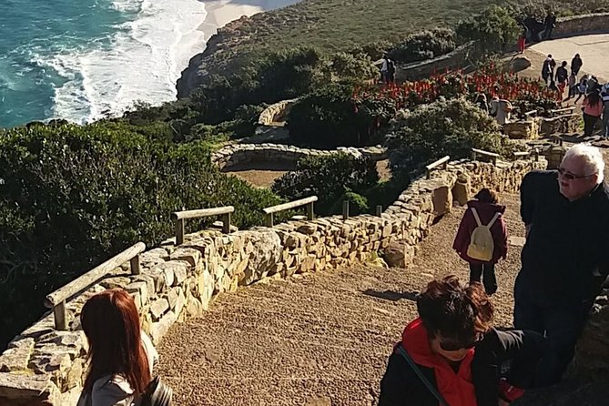 Cape Point Chapmans Peak Drive Penguins Full Day Tour + Wine Tasting - Boulders Beach Penguins