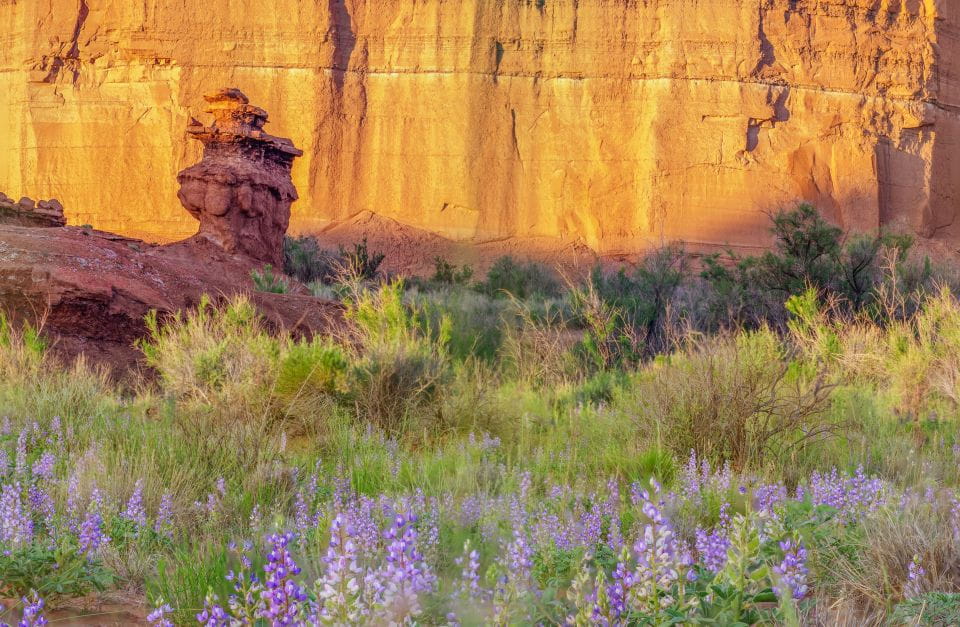 Capitol Reef National Park: Cathedral Valley Day Trip - Overlooks of the South Desert