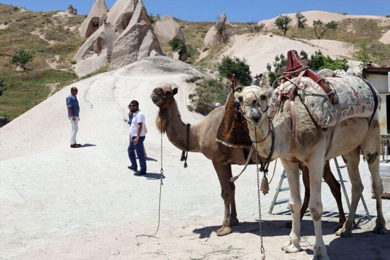 Cappadocia Camel Ride among the Fairy Chimneys - Who is This Tour Perfect For?
