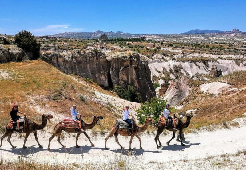 Cappadocia: Camel Safari - The Details That Matter: Logistics, Price, and Value