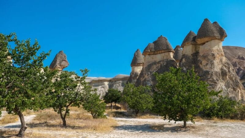 Cappadocia Excursion: Full-Day South Tour with Expert Guide - Key Points / Takeaways