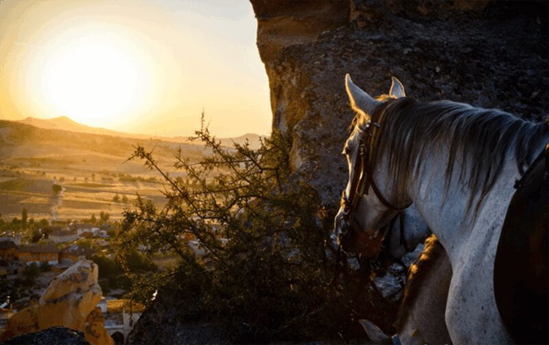Cappadocia Horse Riding &Atv Quad Bike & Shooting with Camel - Unique Details & Useful Tips