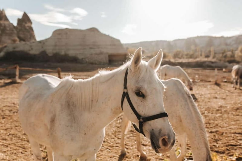 Cappadocia: Horse Riding Tour with Hotel Transfer - The Logistics: What’s Included and What’s Not