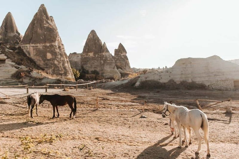 Cappadocia Horseback Riding : Unique Exploration Horse Tour - Choosing the Right Ride for Your Visit