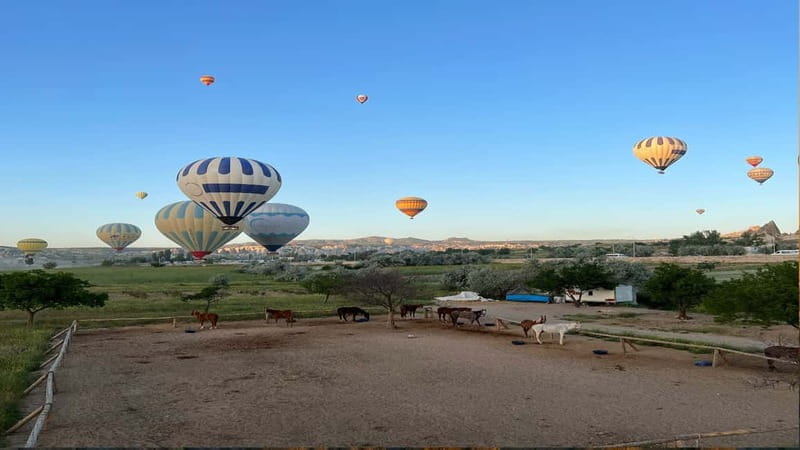 Cappadocia: Hot Air Balloon Flight with Hotel Pickup - Key Points / Takeaways