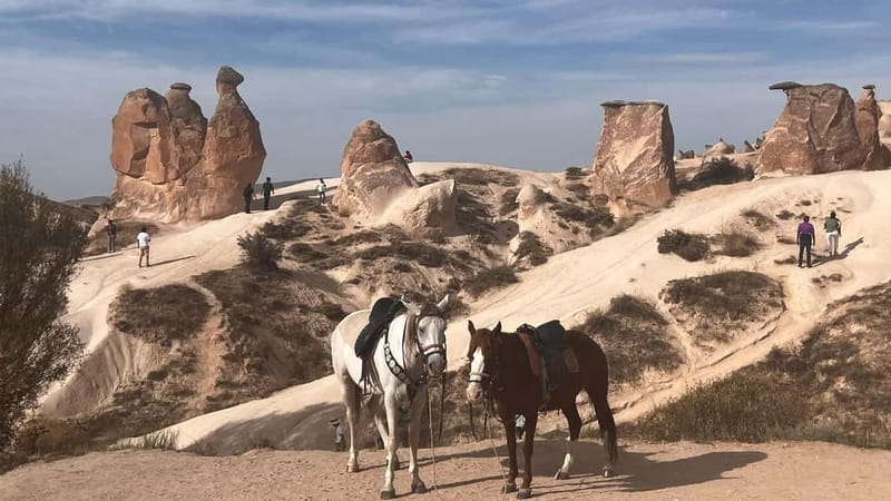 Cappadocia Private Combined Tour with Lunch - Who Will Love This Tour?