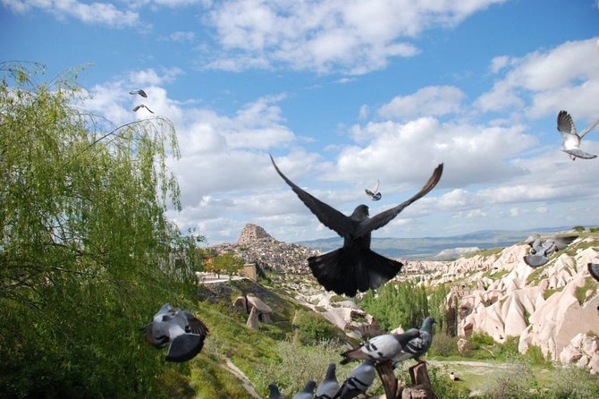 Cappadocia Tour - Cancellation and Policies