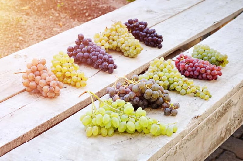 Cappadocia: Vineyard & Wine Tasting Among Fairy Chimneys - Discovering Cappadocia’s Natural and Cultural Wonders