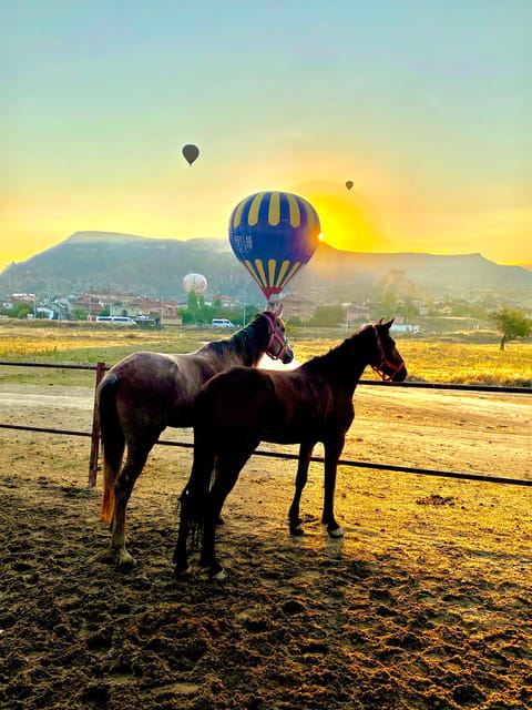 Cappadocia's Sunrise Horseback Riding - Key Points / Takeaways
